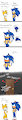 Does Sonic curse?