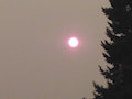 red sun