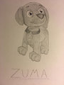 Zuma, Paw Patrol by AidenRask359