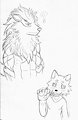 Strong Arcanine and shy Kohaku