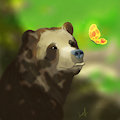 Bear Butterfly
