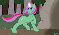 Cherrystripe's Quest...