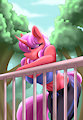 Commission - Chilling Out