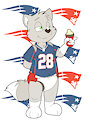 Football's Back!