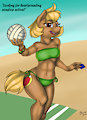 Beach Ball