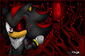 B-SHADOW