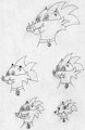 Sonic OC Doodle 8 by Fatfoxcoon