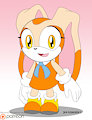 Cream chib