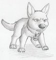 Bolt!!! by ZodimWolfclaw