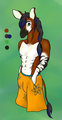 Taji ref by Tatra