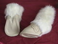 Provalone Hooves 2.0