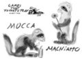 Games that ferrets play 1