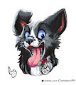 Vin Collie