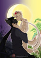 Like the Sun loves the Moon