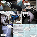 Rocky needs your help.