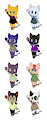 Adoptable kittens!