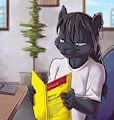 *C*_Kitty at work