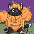 Pumpkin Patch Cubs Icon