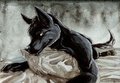 Hey you. by Shalinka
