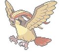 Pidgeot by fishies999