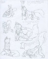 RW - Achak Drawing Tests