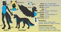Kuro ref sheet by Pandog