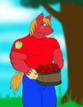 MLP: Big Macintosh and Fluttershy