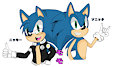 sonic and nikki by ZonicRascal