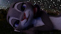 Night Gaze