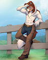 2016 Commission for Sesquin