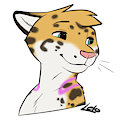 Karissa headshot