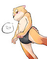 New Submission by Pkdragon624