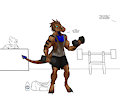 Tyr's workout