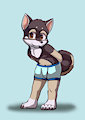 Commission for Fluitaire