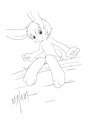 White Rabbit