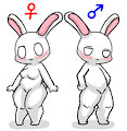 Usagi-Chan