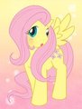 MPL - Fluttershy by Kurapika