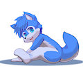 Commission for CyCy