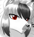 wolf form