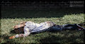 Faceplant 2