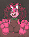 Robbie the rabbit was sit