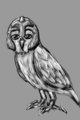 Daily Figure Sketch 344