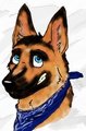 Commission - Leon Sch&auml;fer