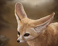 Fennecpainty by Felidire