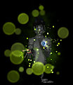 Fireflies