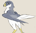 Falcon
