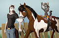 Horsey Boys by Zenu