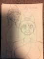 Phy and Sera WIP