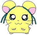 Miri