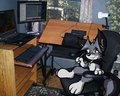 Work Space